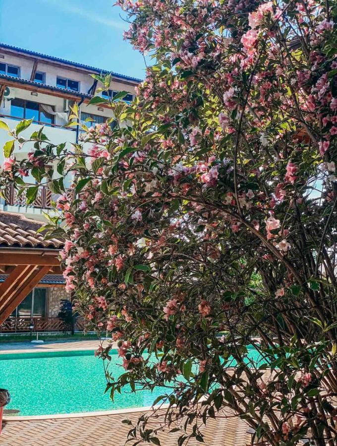Mm Complex Aparthotel Primorsko Ngoại thất bức ảnh